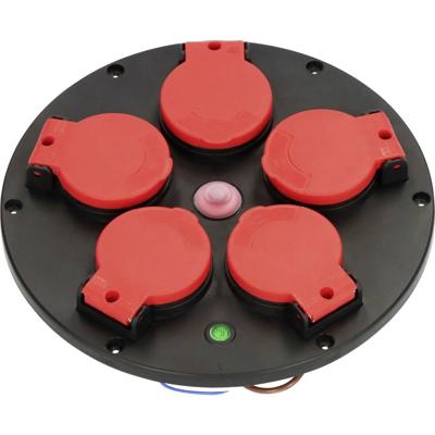 Brennenstuhl Professional Stopcontactinzet montageplaat | 5-voudig | IP44 | thermostaat met wachtstandaanduiding - 1081730