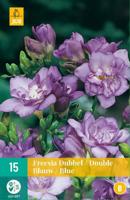 Freesia Dubbel Blauw Bloembol JUB 15 bollen - Jub - thumbnail