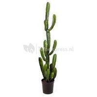 Kunstplant Finger cactus L - thumbnail