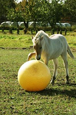 Maximus Power Play Ball 100 cm
