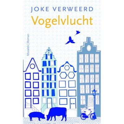 Vogelvlucht - Joke Verweerd - Paperback (9789023996873)