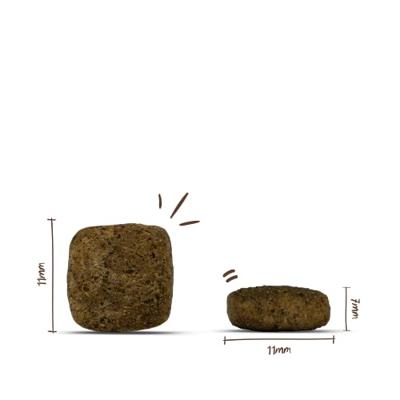 BOSCH Soft Senior Goat & Potato - droog hondenvoer - 12,5 kg