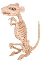 Rat Skelet - thumbnail