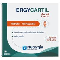 Ergycartil Fort Zakje 16 - thumbnail