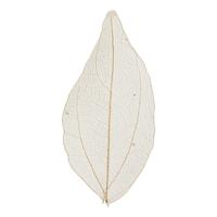 Creativ Company Skeleton leaves , l: 4,5-8 cm, naturel, 20 stuk/ 1 doos - thumbnail