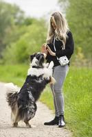 Cullmann RIO Fit 120 llama, camera bag - thumbnail