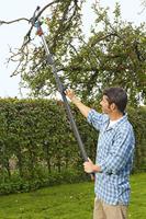 Gardena aambeeld boomschaar - thumbnail