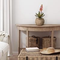 Aloe Vera Kunstplant 30cm rood - thumbnail