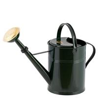 Zinken gieter 9 liter groen - thumbnail