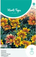 Zaden Gazania Sunshine gemengd Hortitops - Hortitops - thumbnail