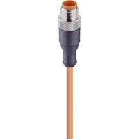 Lumberg Automation 11804-1 Sensor/actuator connector, geassembleerd M12 Aantal polen (sensoren): 4 Stekker, recht 2.00 m 1 stuk(s) - thumbnail