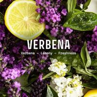 Panier des Sens Energizing Verbena Eau de Toilette 50ml - thumbnail