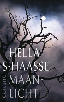 Maanlicht - Hella S. Haasse - ebook
