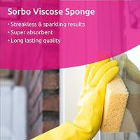 Sorbo viscosespons 16,5x10x4cm Large - thumbnail