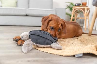 Knuffel voor honden Trixie Polyester Pluche Katoen Schildpad 34 cm - thumbnail