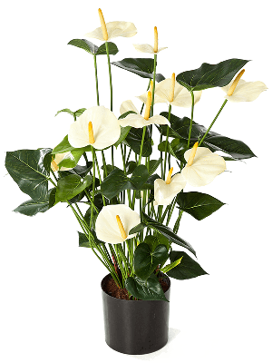 Kunstplant Anthurium cream