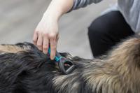 Trixie universele kam - thumbnail