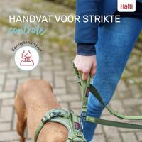 Hondenriem Company of Animals Grijs L - thumbnail