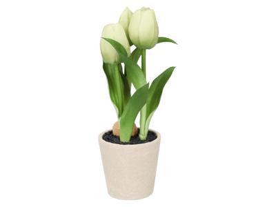 LIVARNO Kunsttulpen in pot (Wit)