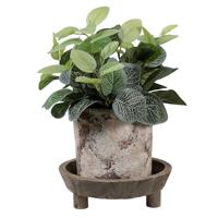 Clayre & Eef Decoratie schaal Ø22x7cm - thumbnail