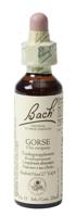 Bach Flower Remedies Gaspeldoorn 13 - thumbnail