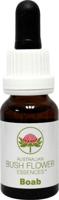 Australian Bush Boab 15 Milliliter - thumbnail