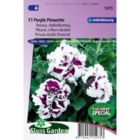 Dubbelbloemige petunia bloemzaden – F1 Purple Pirouette - thumbnail