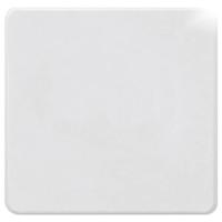 Eltako BLA55E-pg Blinde afdekking Klem - thumbnail