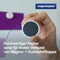 magnetoplan Magneet (Ø x h) 34 mm x 12.5 mm Rond Wit 10 stuk(s) 1665000 - thumbnail