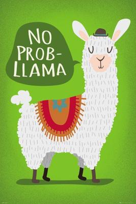 LLAMA No Probllama Poster 61x91.5cm
