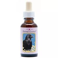 Animal Essences Crow (kraai) 30 Milliliter - thumbnail