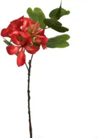 Pure Royal kunsttak bauhinia 60cm rood - thumbnail