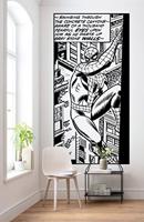 Komar Into Adventure Fotobehang Marvel - Spiderman - Classic Climb - IADX2-085 - thumbnail