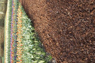 Franse boomschors halve kuub 20/45 mm 150 kg Gardenlux - Gardenlux