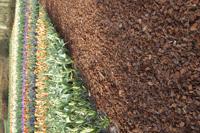 Franse boomschors halve kuub 20/45 mm 150 kg Gardenlux - Gardenlux - thumbnail