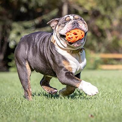 CHUCKIT BREATHE RIGHT FOOTBALL
