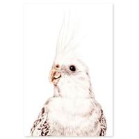 Groovy Magnets Magneetsticker Parkiet - thumbnail