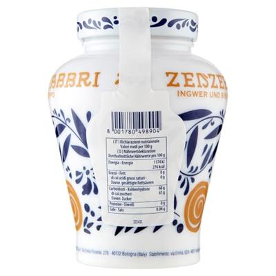 Fabbri - Zenzero Fabbri (Gember) - 600g