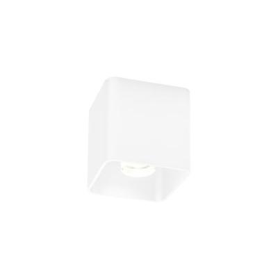 Wever Ducre Docus 1.0 LED Opbouwspot - Wit - 2700K