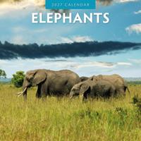 Olifanten Kalender 2027 - thumbnail