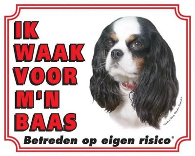 Cavalier King Charles Spaniel Waakbord - Ruby