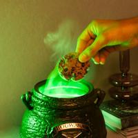 Harry Potter Cookie Jar The Leaky Cauldron - thumbnail