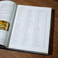 Dungeons & Dragons RPG Player's Handbook 2024 english - thumbnail