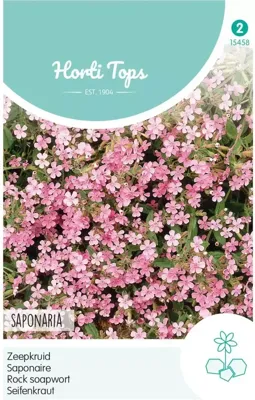 Zaden Saponaria Zeepkruid Rose Hortitops - Hortitops
