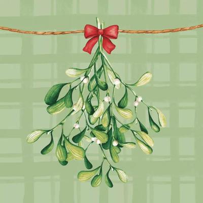 Servet l33b33 mistletoe moment 20st Duni - Duni