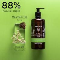 Apivita Tonic Mountain Tea Shower Gel with Essential Oils 500ml - thumbnail