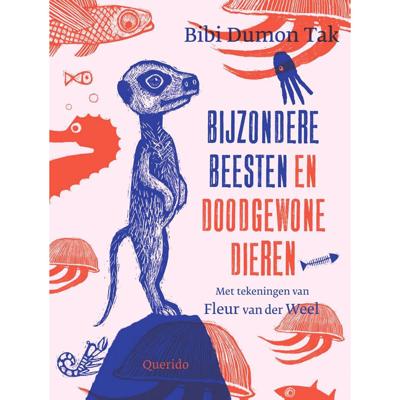 Bijzondere beesten en doodgewone dieren (Hardback)