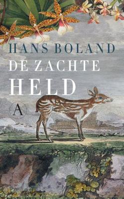 De zachte held - Hans Boland - ebook