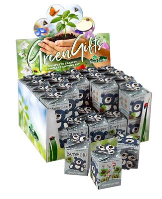 Greengift happy bear blauw showdoos Greengift happy bear blauw showdoos