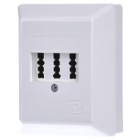 Rutenbeck TAE 3x6NFN Ap rw Telefoonaansluitdoos Opbouw (op muur) Wit - thumbnail